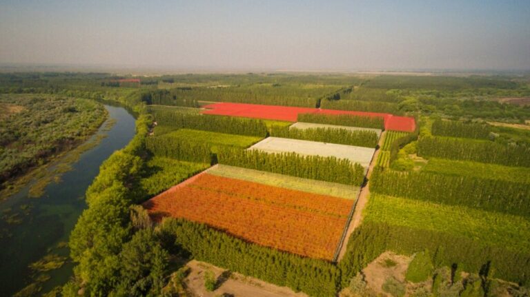 Innovación y tecnología en la protección de los cultivos