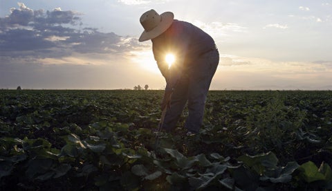 ECUADOR: Ejecutivo lanza plan agropecuario 2025–2034