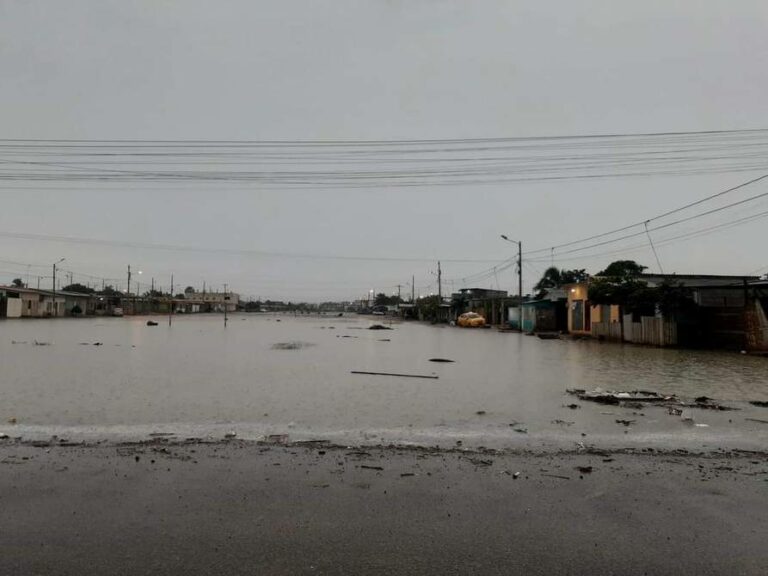 Perú: El Niño hoy 9 de enero: Impacto en la población y agricultura tras intensas lluvias