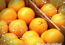 Resumen del mercado global de las naranjas