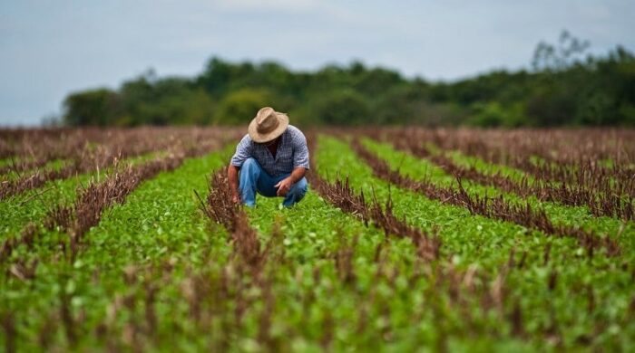 ECUADOR:  Fortalecimiento de la productividad agrícola en Galápagos a través del levantamiento catastral