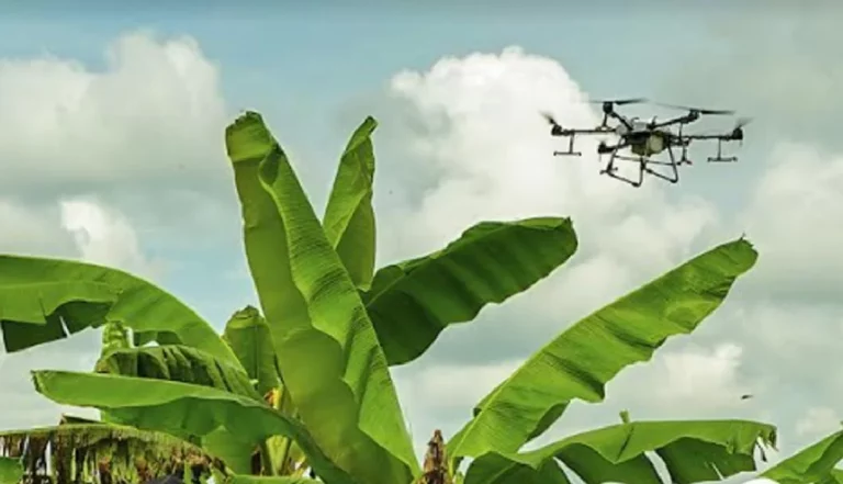 AGEARTH-Ecuador lanza curso sobre uso de drones multiespectrales en agricultura