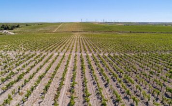 Los negociadores del Mercosur y la UE se citarán en Brasilia en septiembre
