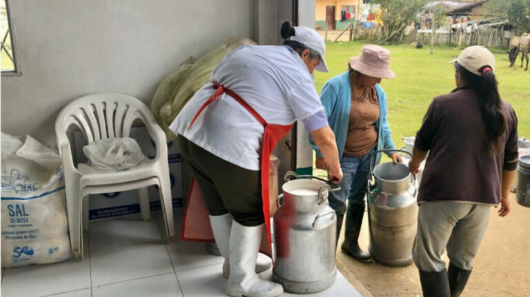 ECUADOR: Industria Láctea fortalece estrategias para combatir la informalidad