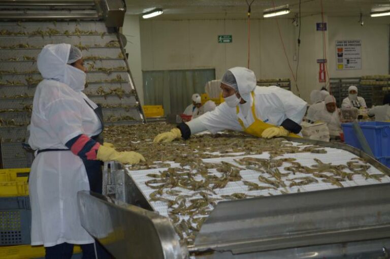 Ecuador atrae nuevas inversiones por USD 806,7 millones y genera 3.495 Empleos