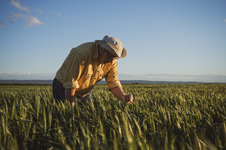 Convocan en Perú un paro nacional agrario para los días 18 y 19 de julio