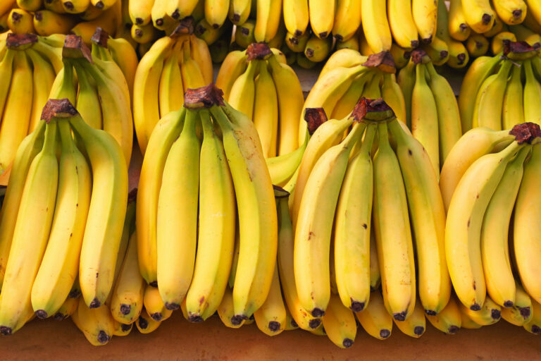 Internacional: Las exportaciones de banano de Honduras muestran una recuperación en 2022
