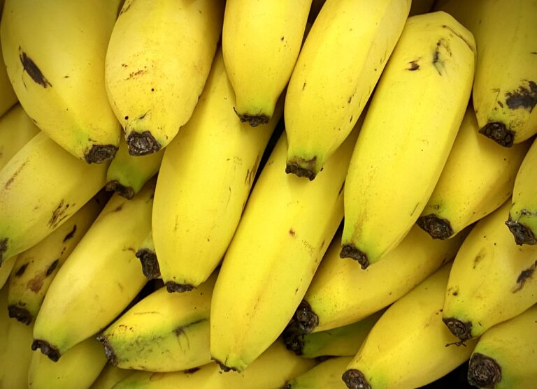 Internacional: Las bananas de Costa Rica costaron 0,93 £ en la semana 32, sin cambios con respecto a la semana anterior