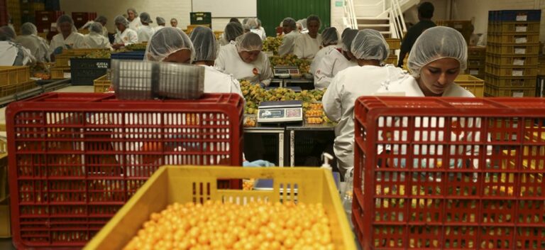 Un impulso hacia la transformación del sector agroindustrial se presenta en Ecuador