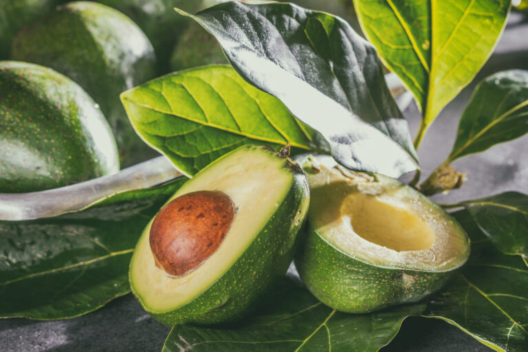 Chile le abre las puertas al aguacate Hass colombiano