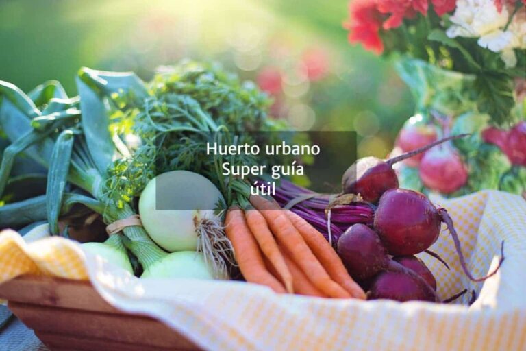 Huerto urbano: 9 Pasos cómo hacer una huerta en casa y terrazas