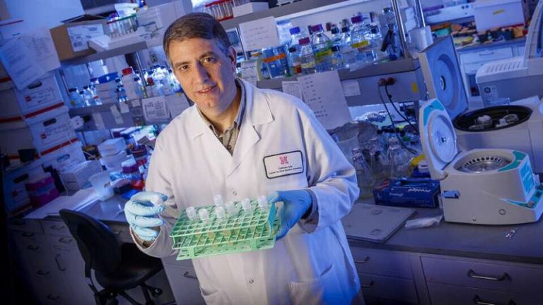 La investigación muestra el potencial de las semillas oleaginosas para la creación de bioproductos