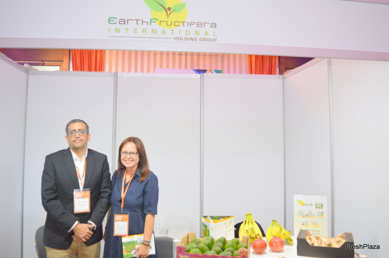Internacional: “El encuentro entre bananeros latinoamericanos y los supermercados europeos en Madrid mostrará si los compradores están dispuestos a pagar mejores precios”