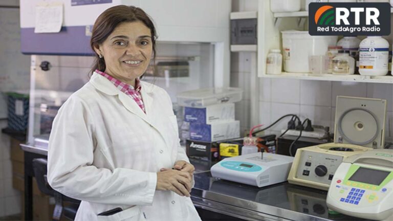 Internacional: Una vacuna contra la Leucosis Bovina, creada por argentinos