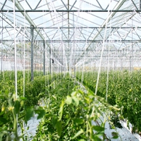 Internacional: Los precios de la energía “amenazan la continuidad de la producción agroalimentaria”, advierte la industria
