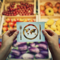 Internacional: Fin del desperdicio de alimentos endémico: Kerry presenta una herramienta de estimación, destacando la conservación como “crucial para el cambio”