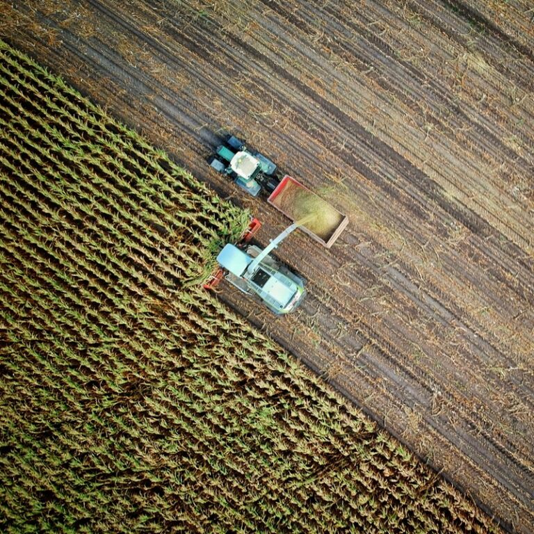 ECUADOR: Crédito exclusivo para agricultores 7×7