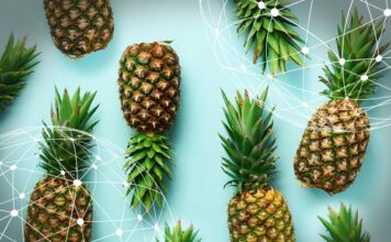 Resumen del mercado global de la piña