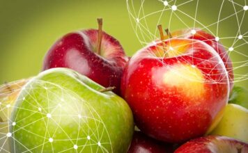 Resumen del mercado global de la manzana