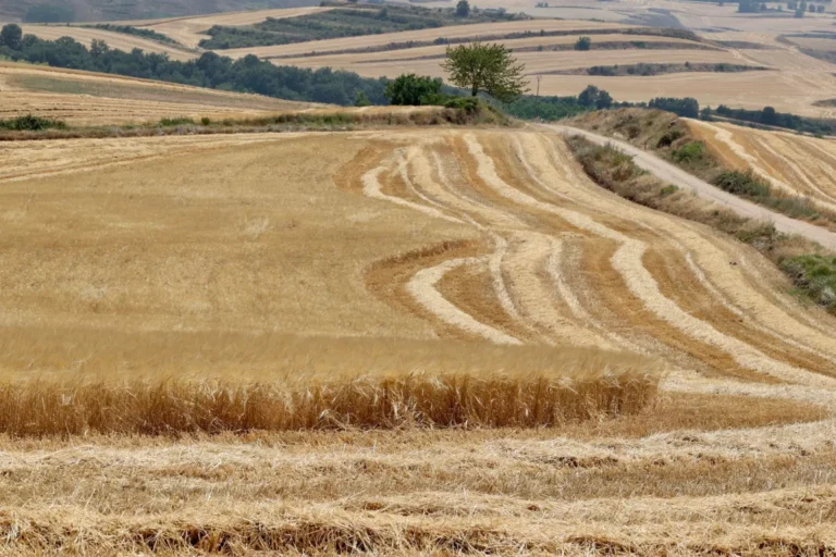 Internacional: La guerra en Ucrania sacude el mercado de fertilizantes por el riesgo de escasez
