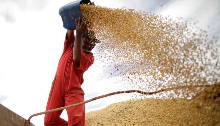 Internacional: Dieta a base de proteínas vegetales, una alternativa para mitigar el cambio climático