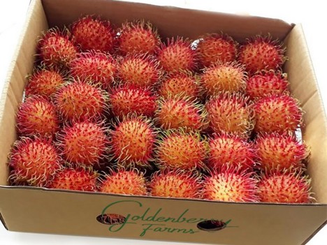 Internacional: Presentaciones de frutas dirigidas a niños en Fruit Attraction