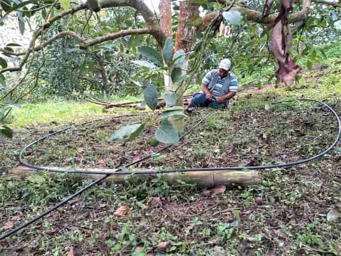 Internacional: Campesinos de Colombia, Ecuador y Perú, beneficiados por técnica de fertirriego