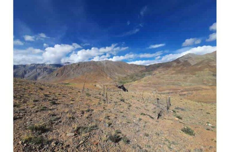 El pastoreo de animales es clave para la estabilidad del carbono del suelo a largo plazo, según un estudio