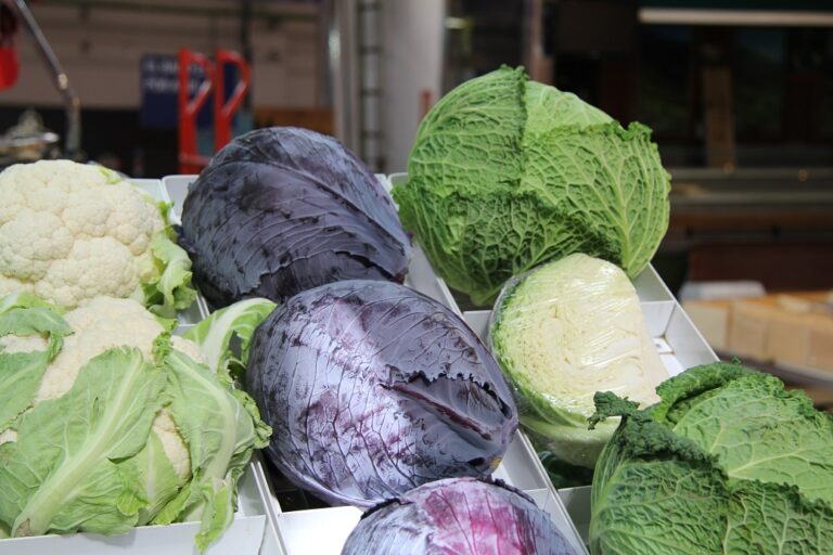 Internacional- Importaciones, ganadería, regadío: los cambios agroalimentarios que se esperan para 2050