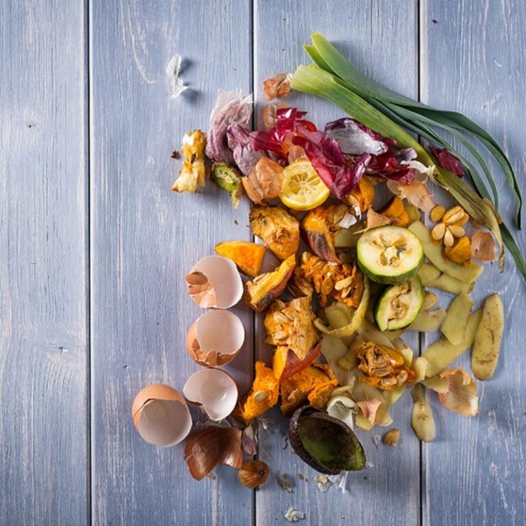 Internacional: La lucha contra el desperdicio de alimentos les da a las empresas de alimentos y bebidas un buen retorno de las inversiones, advierten los expertos