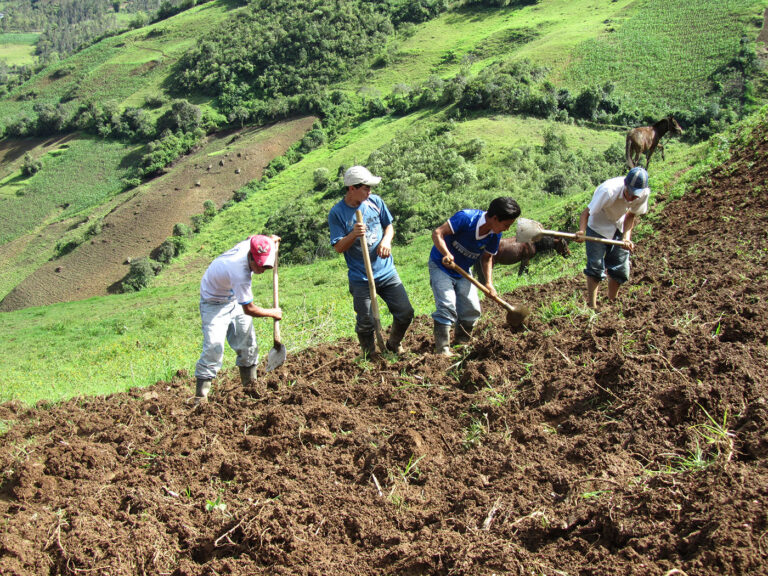 Internacional Colombia: Asociatividad, esencial para una real inclusión productiva del agro colombiano