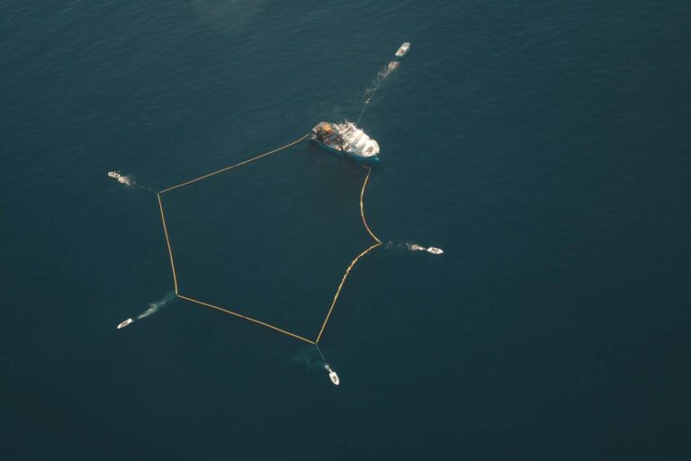 Internacional: La pesca del atún atlántico, en juego en la negociación mundial de ICCAT en Portugal