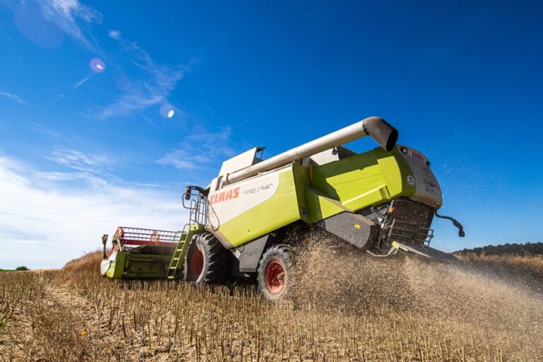 Internacional: El acuerdo de los cereales rebaja los precios en los países del Mediterráneo