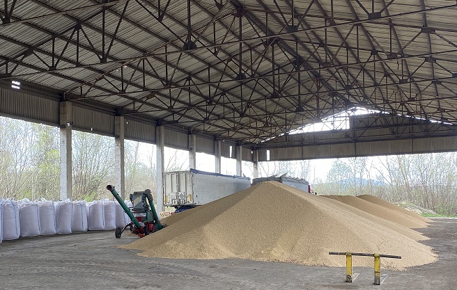 Internacional: Más de 12 millones de toneladas de grano salieron por el corredor de cereales