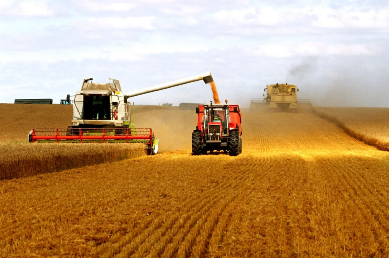 Internacional: Los países de la OCDE abordan en París el bloqueo de Rusia al grano ucraniano
