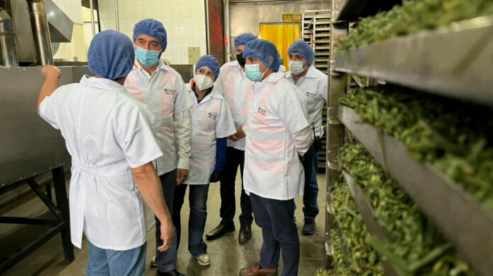 productividad1-1024x574