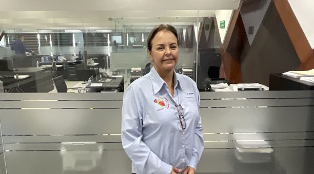 Internacional: El mango mexicano busca afianzarse en el mercado europeo
