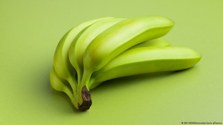 Internacional: El banano formará parte del programa “Precios Justos” de Argentina