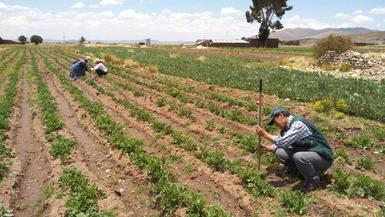 Internacional: Bloqueos se suman a problemas relacionados a la urea y sequías en el agro