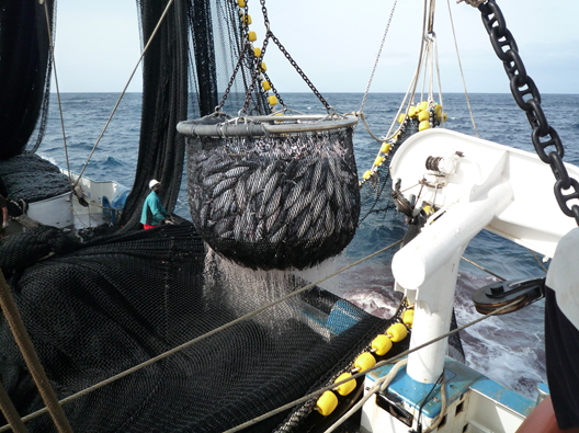 Internacional: La Unión Europea logra un acuerdo sobre las capturas de pesca para 2023