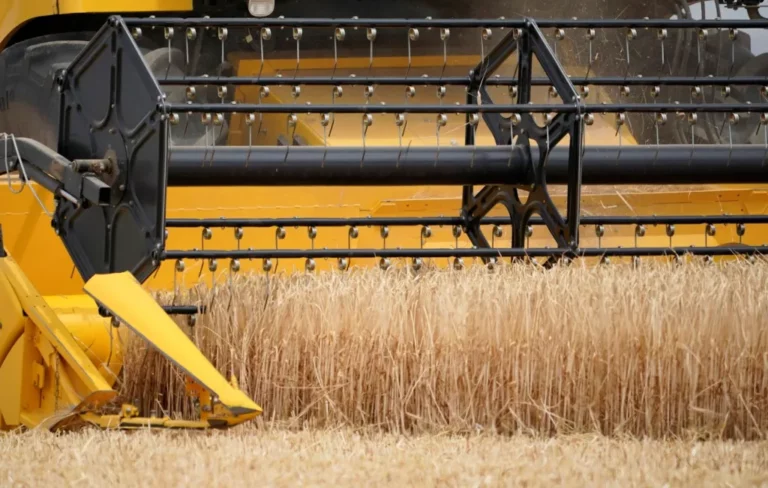 Internacional: La CE espera aprobar los planes estratégicos de agricultura antes de fin de año