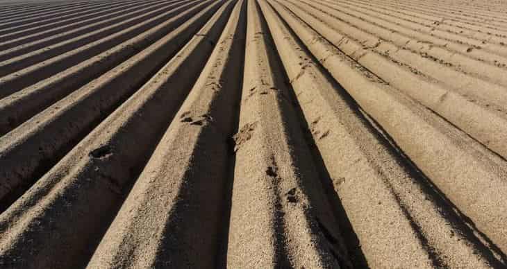 En problemas con herbicidas genéricos, busca el clima