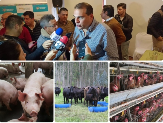 Internacional: ICA anuncia importación de alimentos desde Ecuador