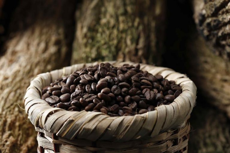Internacional: Estabilidad en los precios del café en 2022