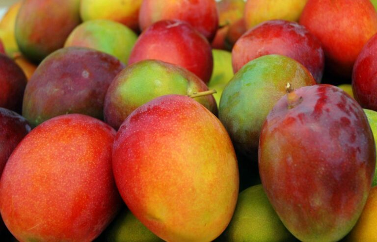 Resumen del mercado global del mango