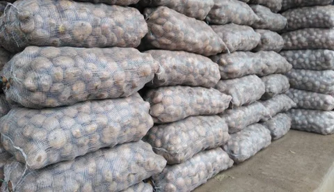 Internacional Colombia: Estas son las alternativas que tiene el agro nariñense para no perder su producción