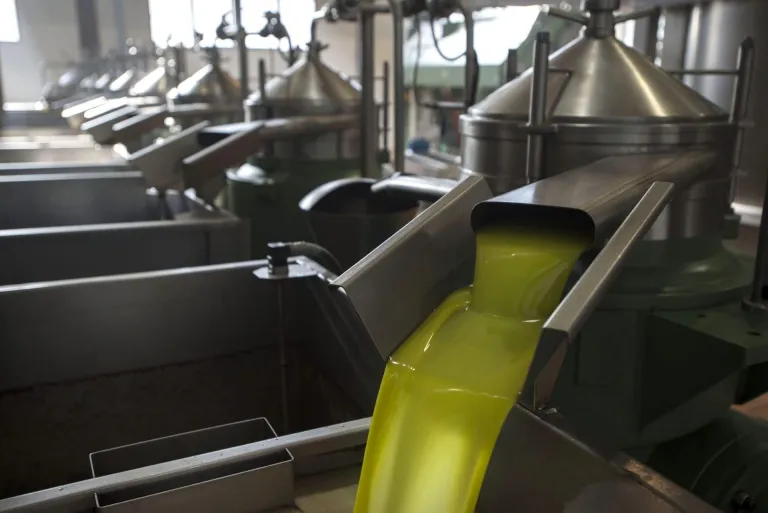Internacional: El precio del aceite sube más en el campo que en las tiendas y lastra las exportaciones