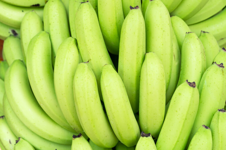 Internacional: Productores hondureños advierten de una “pequeña escasez” de banano en el primer trimestre de 2023