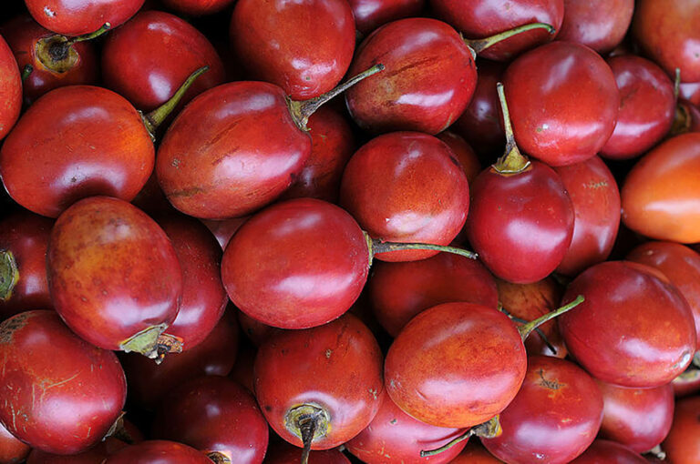 Bolsas “antihongos” para frutas tropicales
