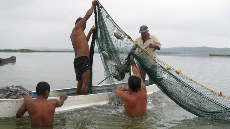 ECUADOR: Reconocimiento al Sector Pesquero